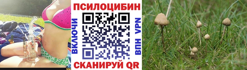 Галлюциногенные грибы Cubensis  Медынь 